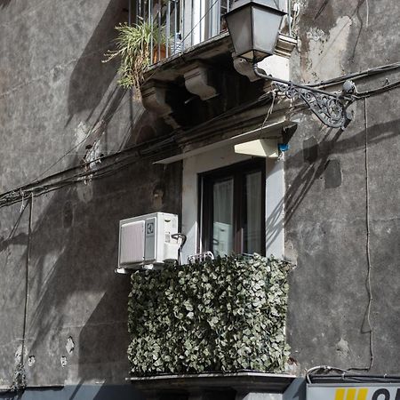 Terra Dell'Etna Apartment Catania Luaran gambar